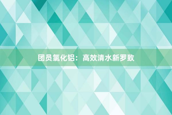 团员氯化铝：高效清水新罗致