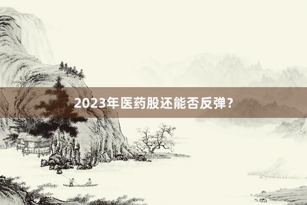 2023年医药股还能否反弹？